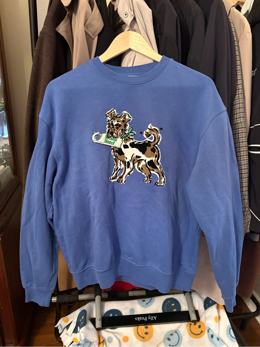 Zara Blue Crewneck Sweatshirt with Dog Graphic